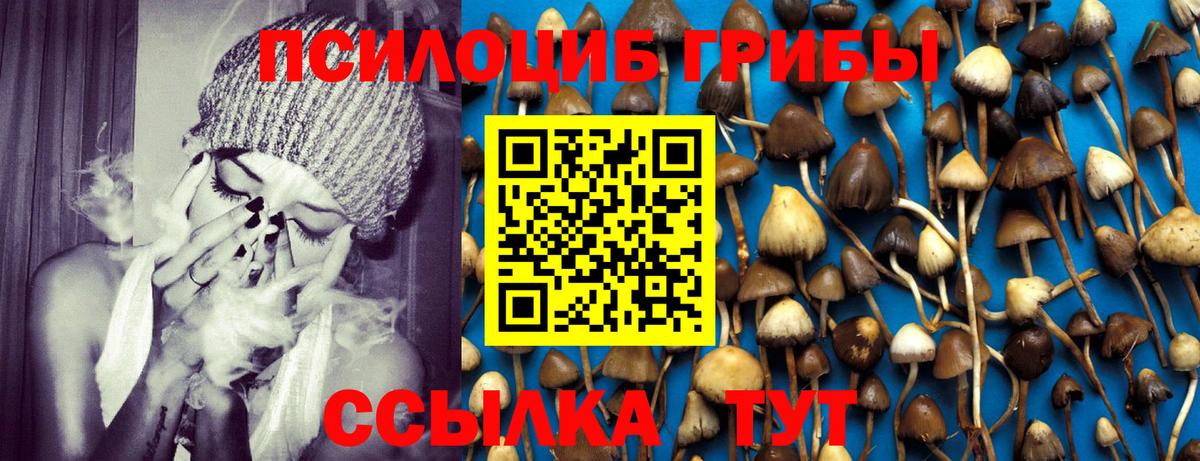 Галлюциногенные грибы мухоморы  Вход с VPN  Сибай 